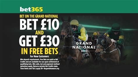 bet365 each way grand national|Grand National Betting & Latest Odds .